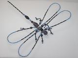 Beaded Dragonfly #305