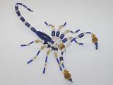 Beaded Scorpion #200