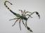 Beaded Scorpion #300