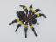 Beaded Spider #118
