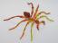 Beaded Spider #203